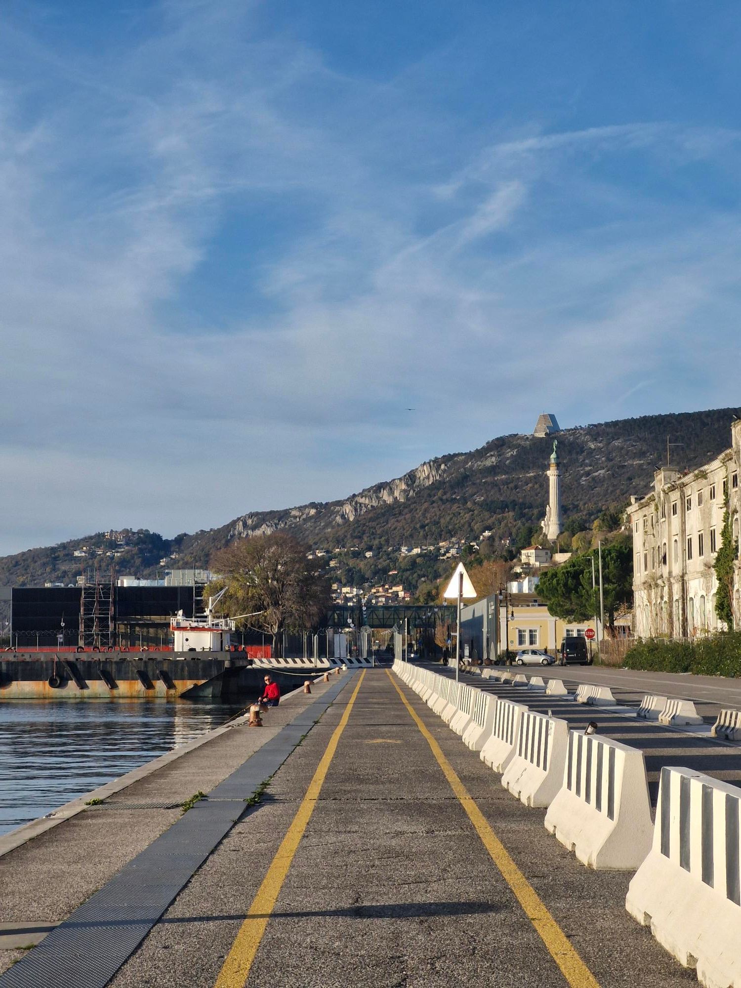 Trieste View