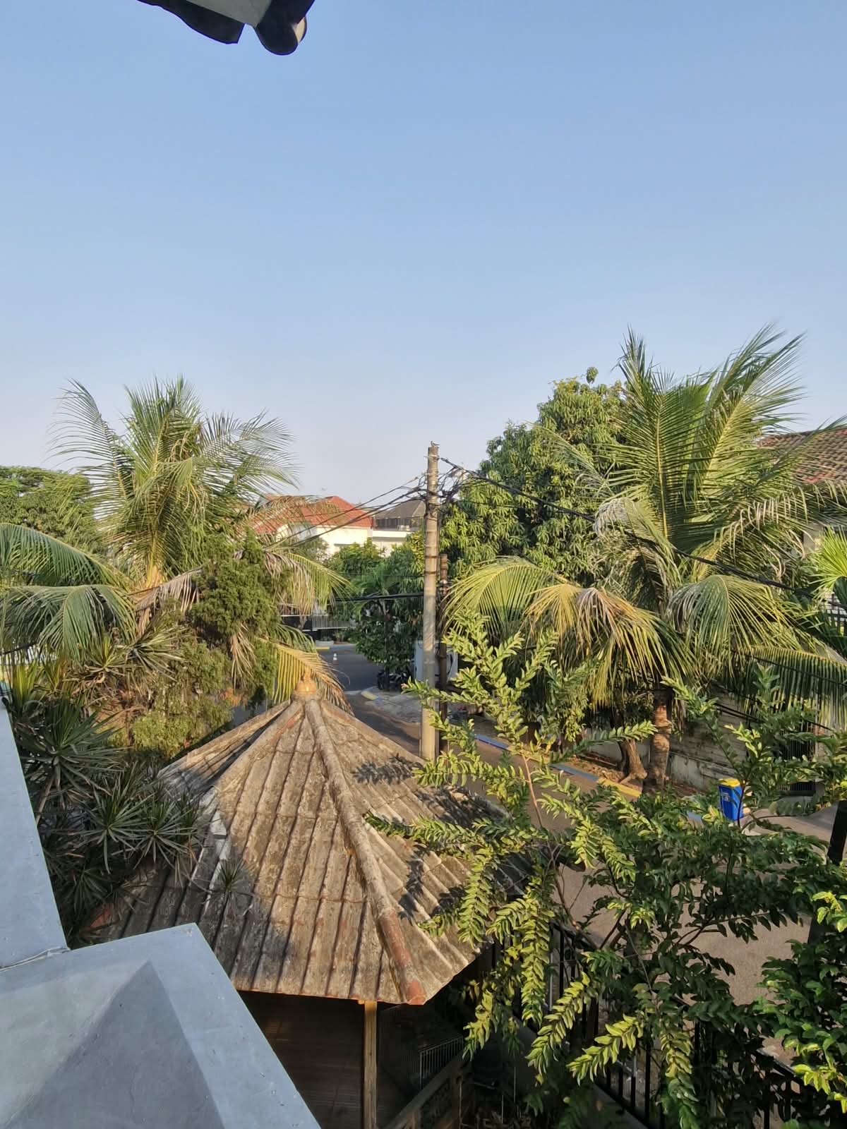 View from family house